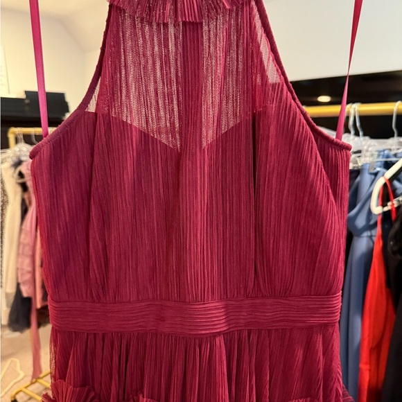 BCBGMAXAZRIA Tulle Evening Gown 4 - Picture 6 of 7